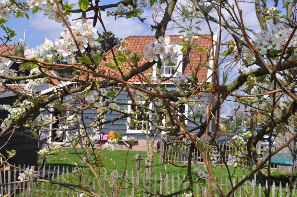 Guesthouse Boom Watergang Exteriör bild